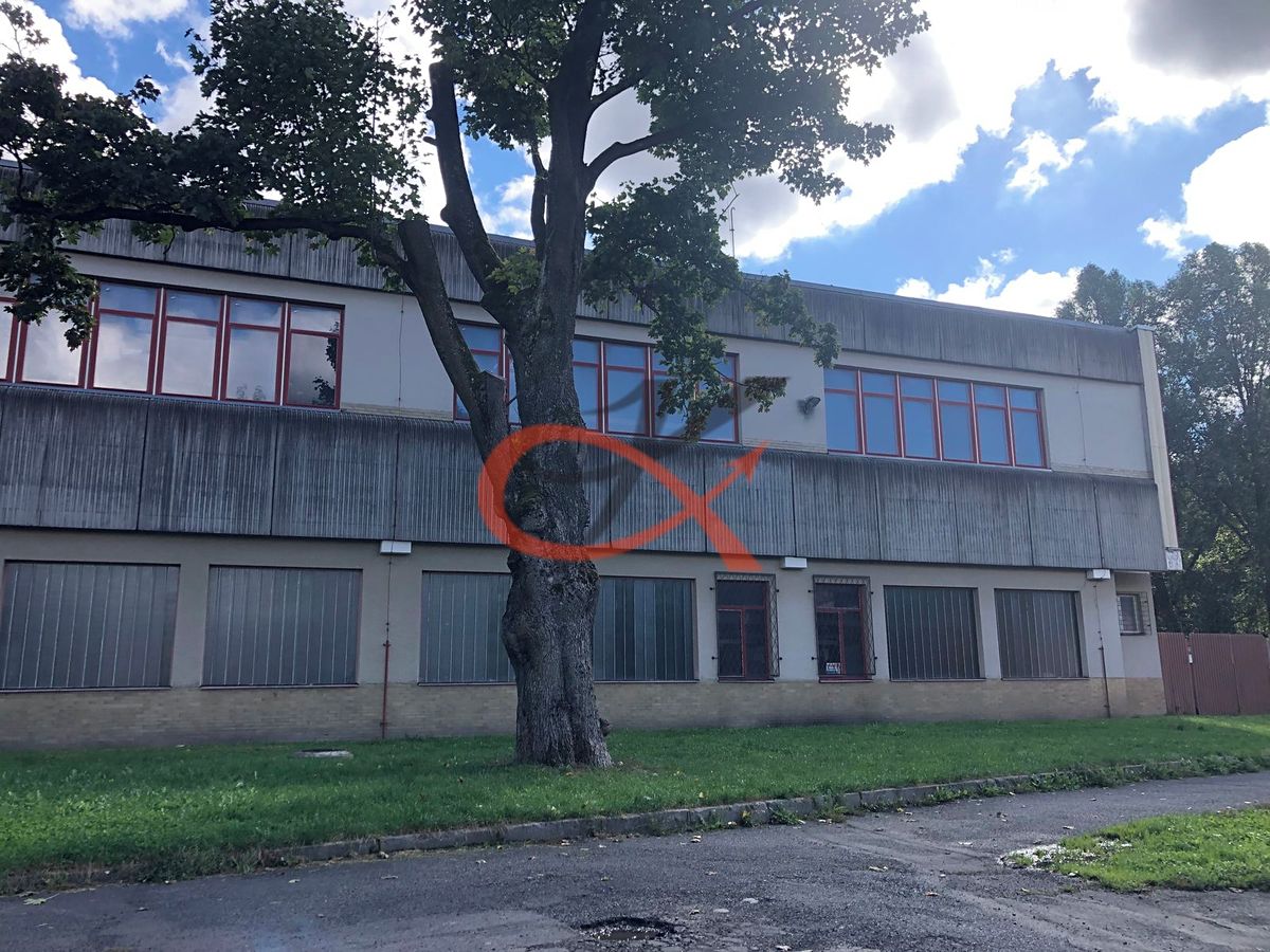 Pronájem komerční nemovitosti 800 m²