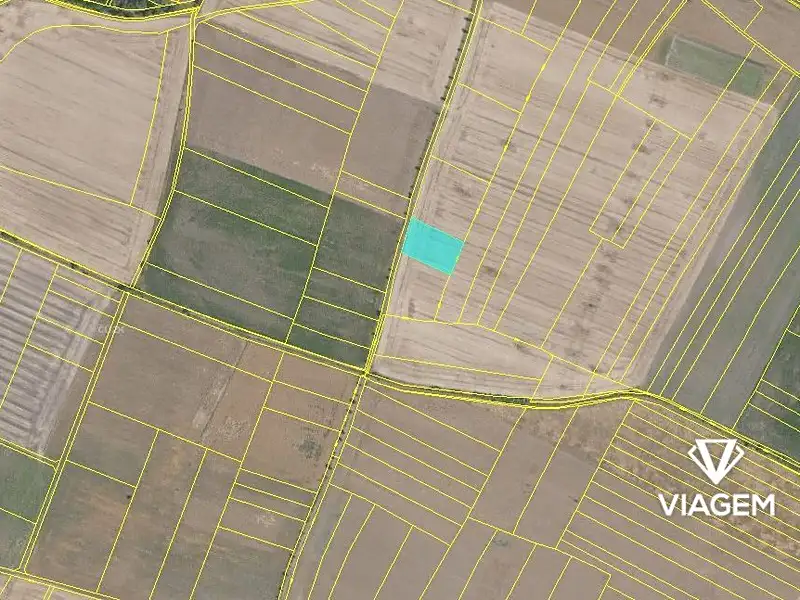 Prodej pole 2877 m², Sudovo Hlavno – náhled fotky 3