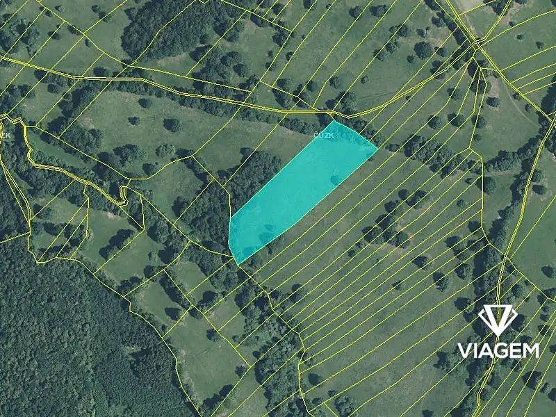 Prodej pole 19032 m², Hrubá Vrbka – náhled fotky 3