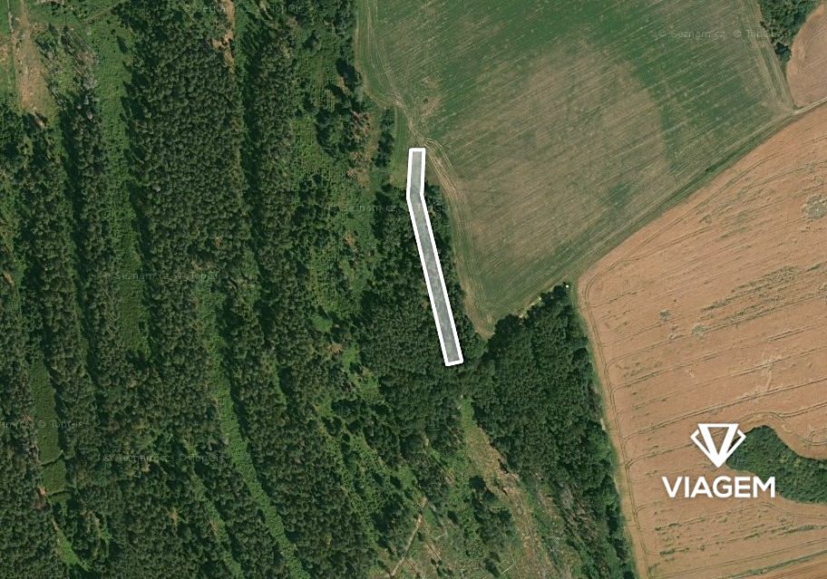 Prodej lesa 1490 m², Blížejov – fotka 1 z 3