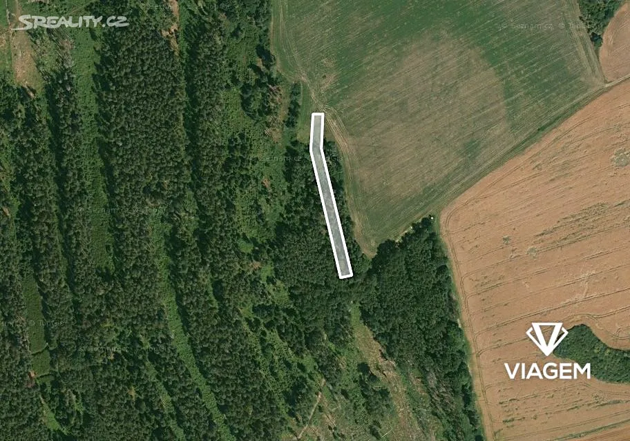 Prodej lesa 1490 m², Blížejov