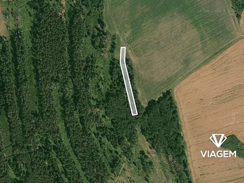 Prodej lesa 1490 m², Blížejov – náhled fotky 1