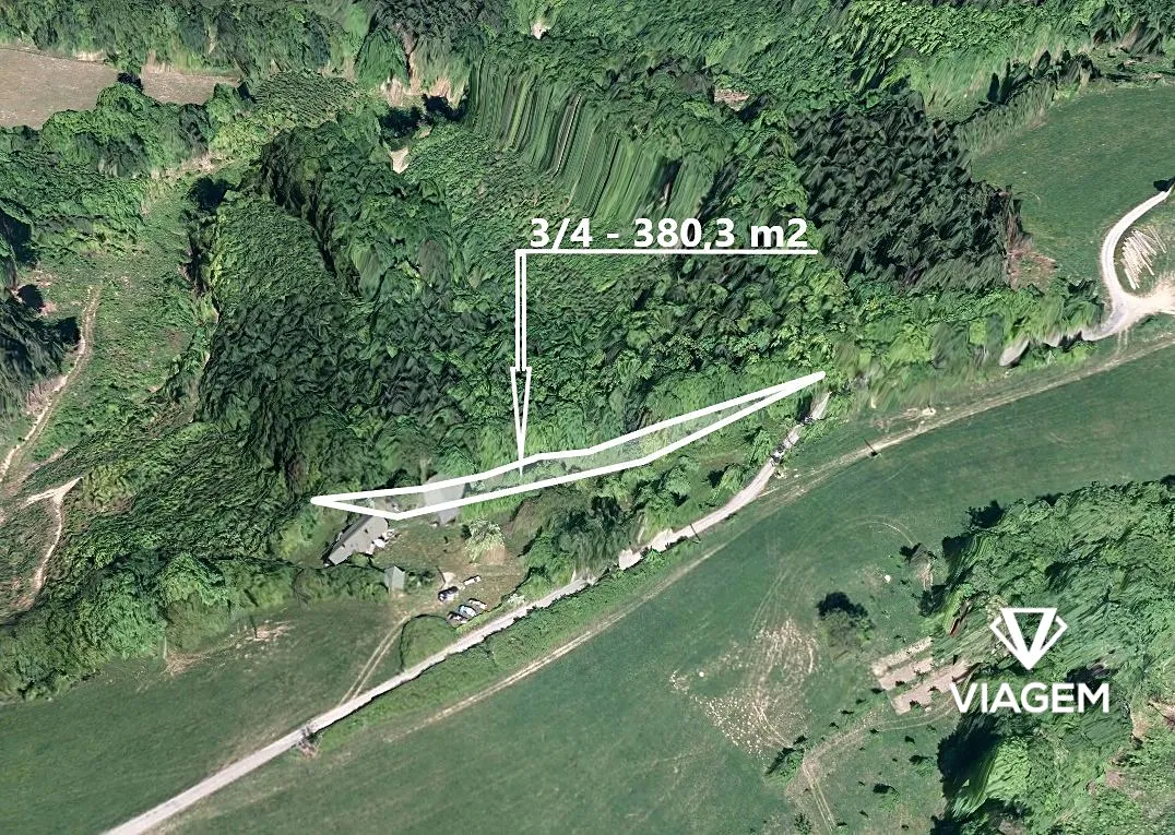 Prodej podílu 3/4 lesa 380 m²