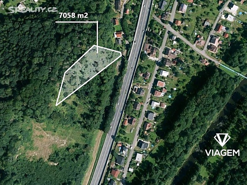 Prodej  lesa 7 058 m²