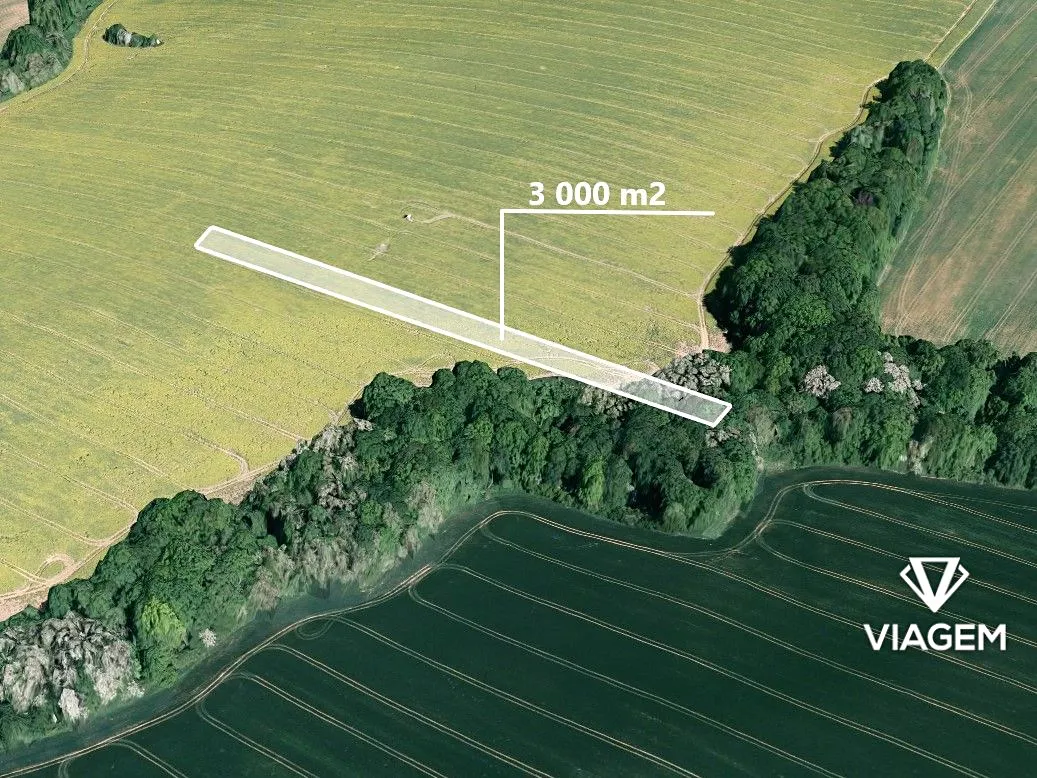 Prodej podílu 1/2 pole 1500 m²