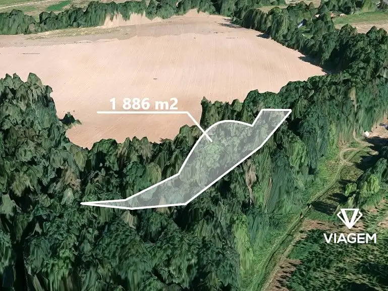 Prodej lesa 1886 m², Jablonná – náhled fotky 1