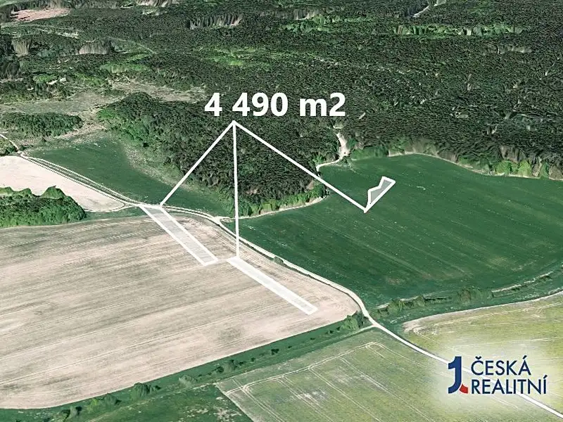 Prodej pole 4490 m², Vysočany – náhled fotky 2