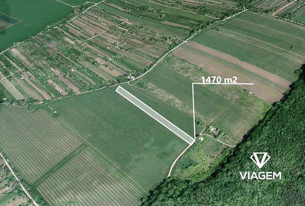 Prodej pole 3361 m², Strážnice – fotka 1 z 3