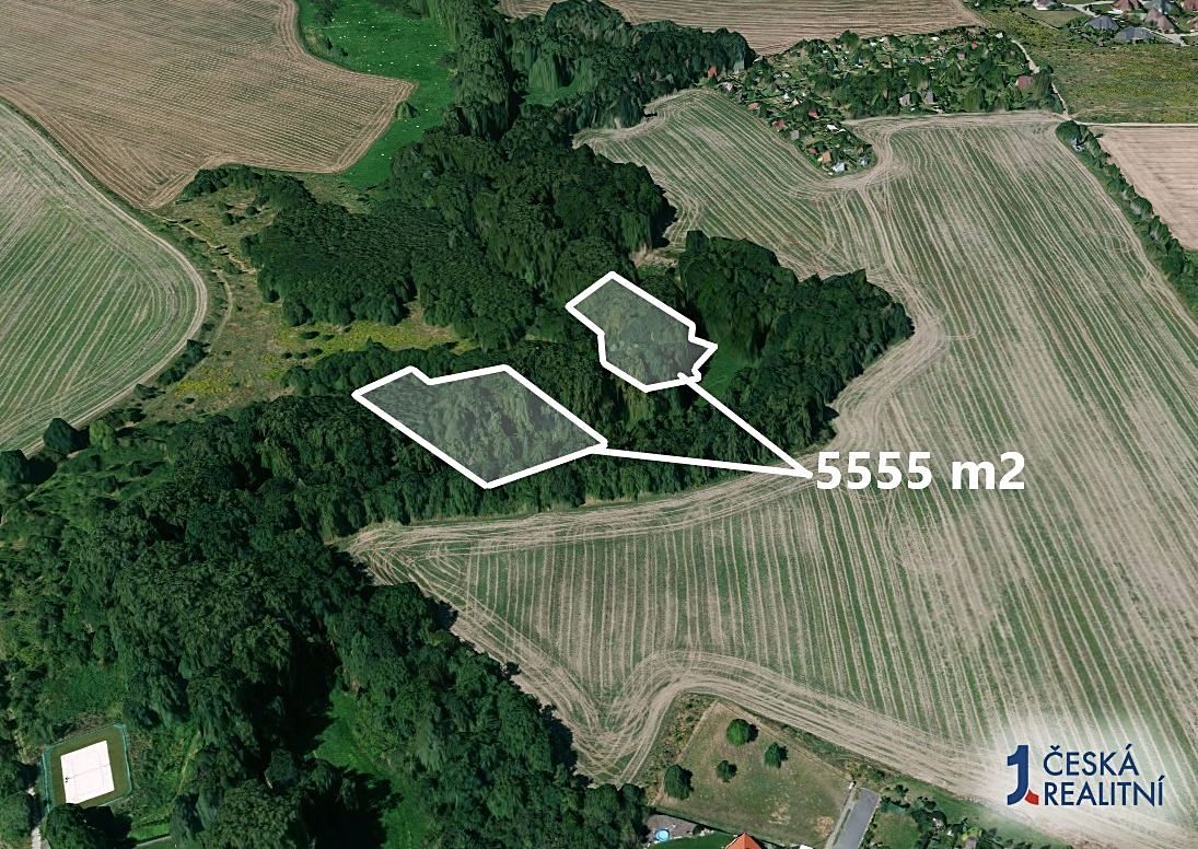 Prodej lesa 5555 m² – fotografie 2