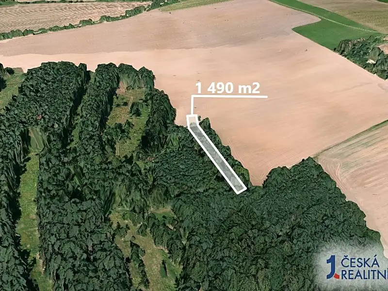 Prodej lesa 1490 m², Blížejov – náhled fotky 2