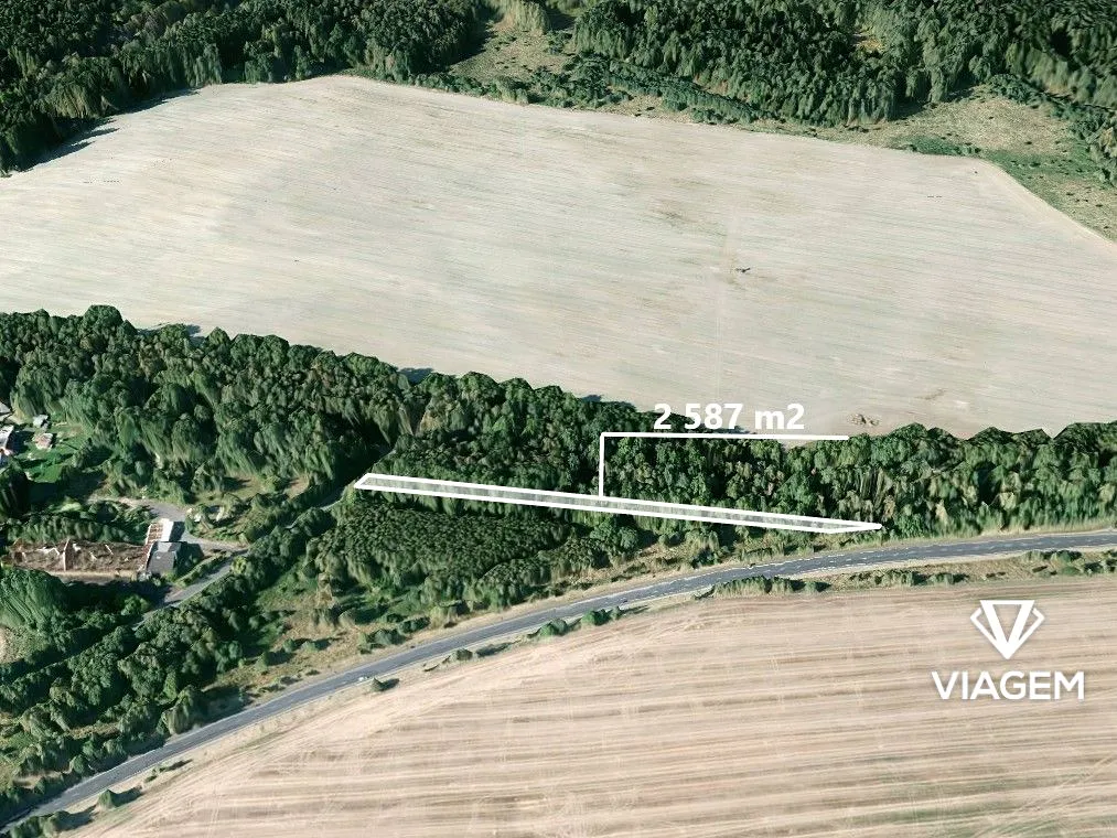Prodej lesa 2587 m²