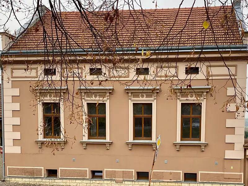 Prodej komerční nemovitosti 650 m², Čečelice – náhled fotky 3