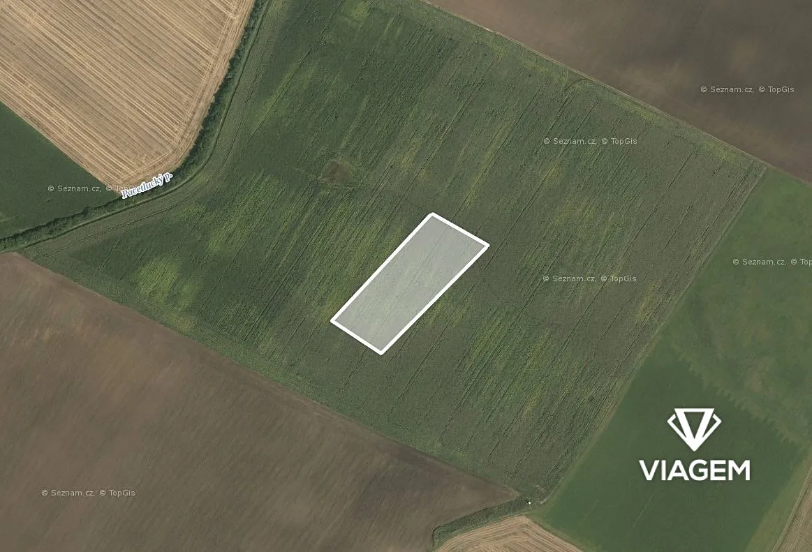Prodej podílu 1/8 pole 1196 m²
