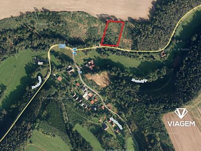 Prodej lesa 3866 m²
