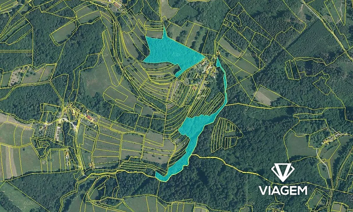Prodej podílu 1/4 lesa 4590 m²