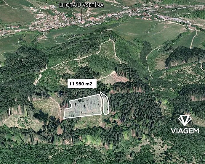 Prodej lesa 11980 m²
