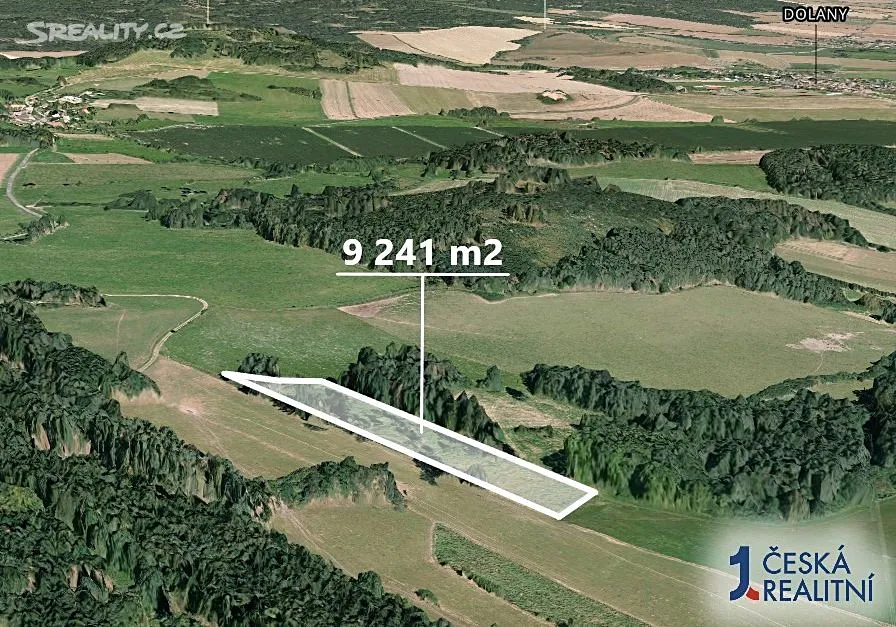 Prodej podílu 1/3 lesa 3080 m² – pohled 2