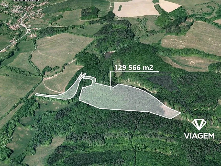 Prodej podílu 1/200 lesa 647 m²