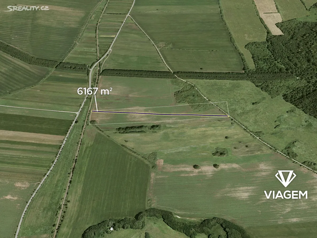 Prodej podílu 1/4 pole 1541 m²