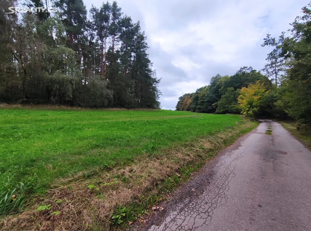 Prodej louky 27616 m², Nečín
