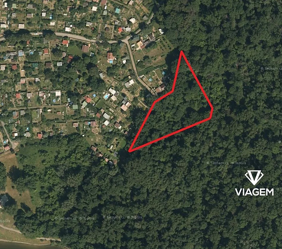 Prodej podílu 1/4 lesa 1028 m²
