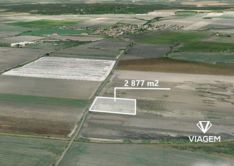 Prodej pole 2877 m², Sudovo Hlavno – fotka 1 z 3