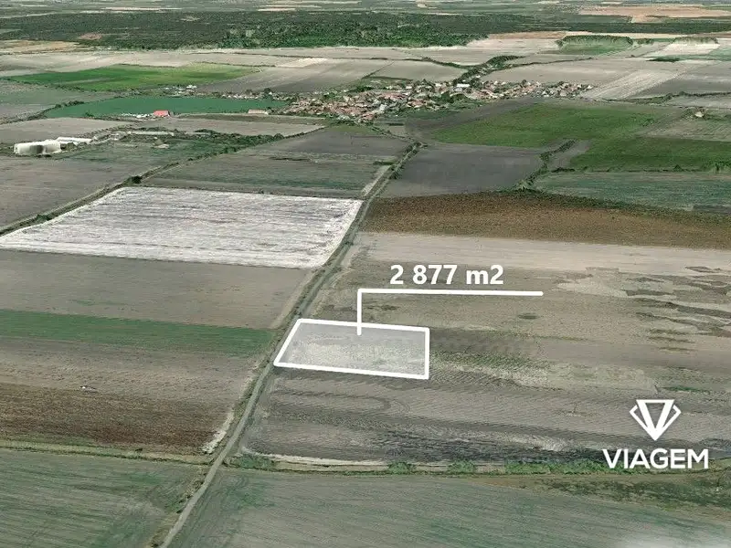 Prodej pole 2877 m², Sudovo Hlavno – náhled fotky 1