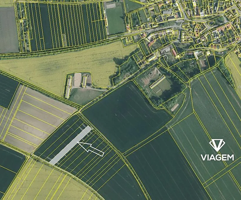 Prodej podílu 1/4 pole 991 m²
