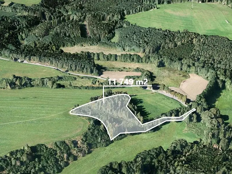 Prodej lesa 11749 m², Svojšín – náhled fotky 1