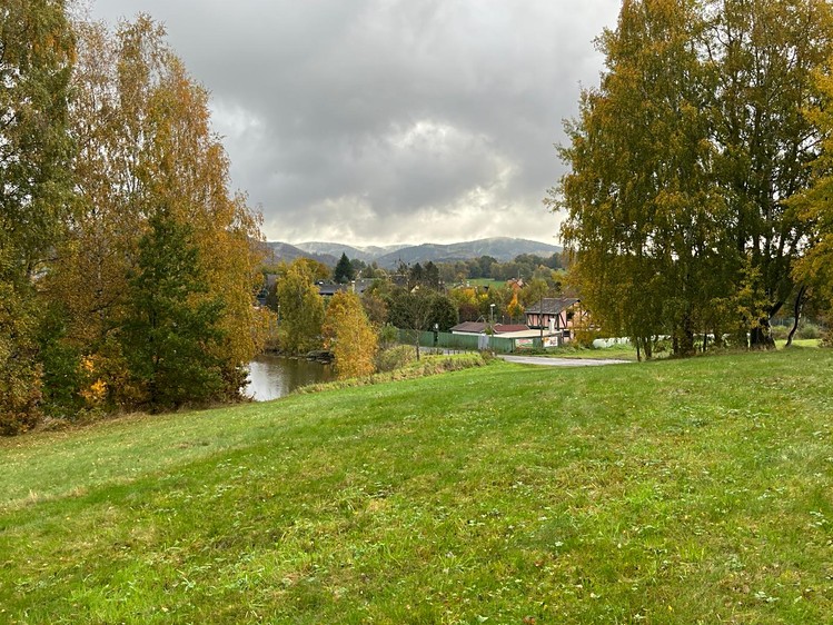 Grundstück zum Kauf, 1.007 m² (2 von 6)