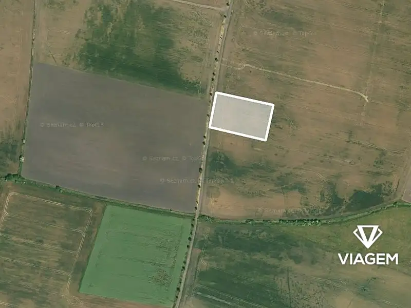 Prodej pole 2877 m², Sudovo Hlavno – náhled fotky 2