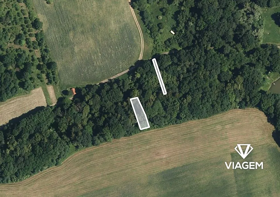 Prodej lesa 525 m²
