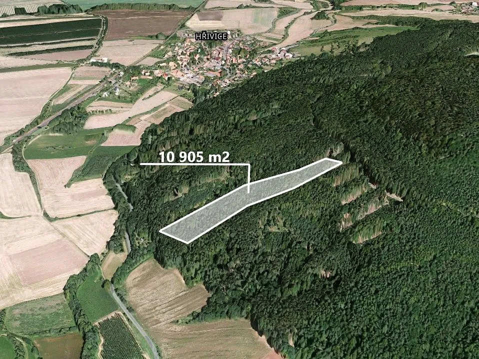 Prodej podílu 1/2 lesa 5452 m²