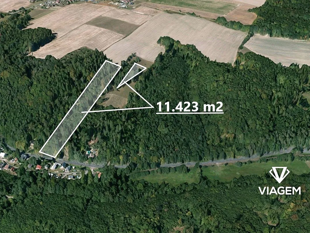 Prodej lesa 11423 m²