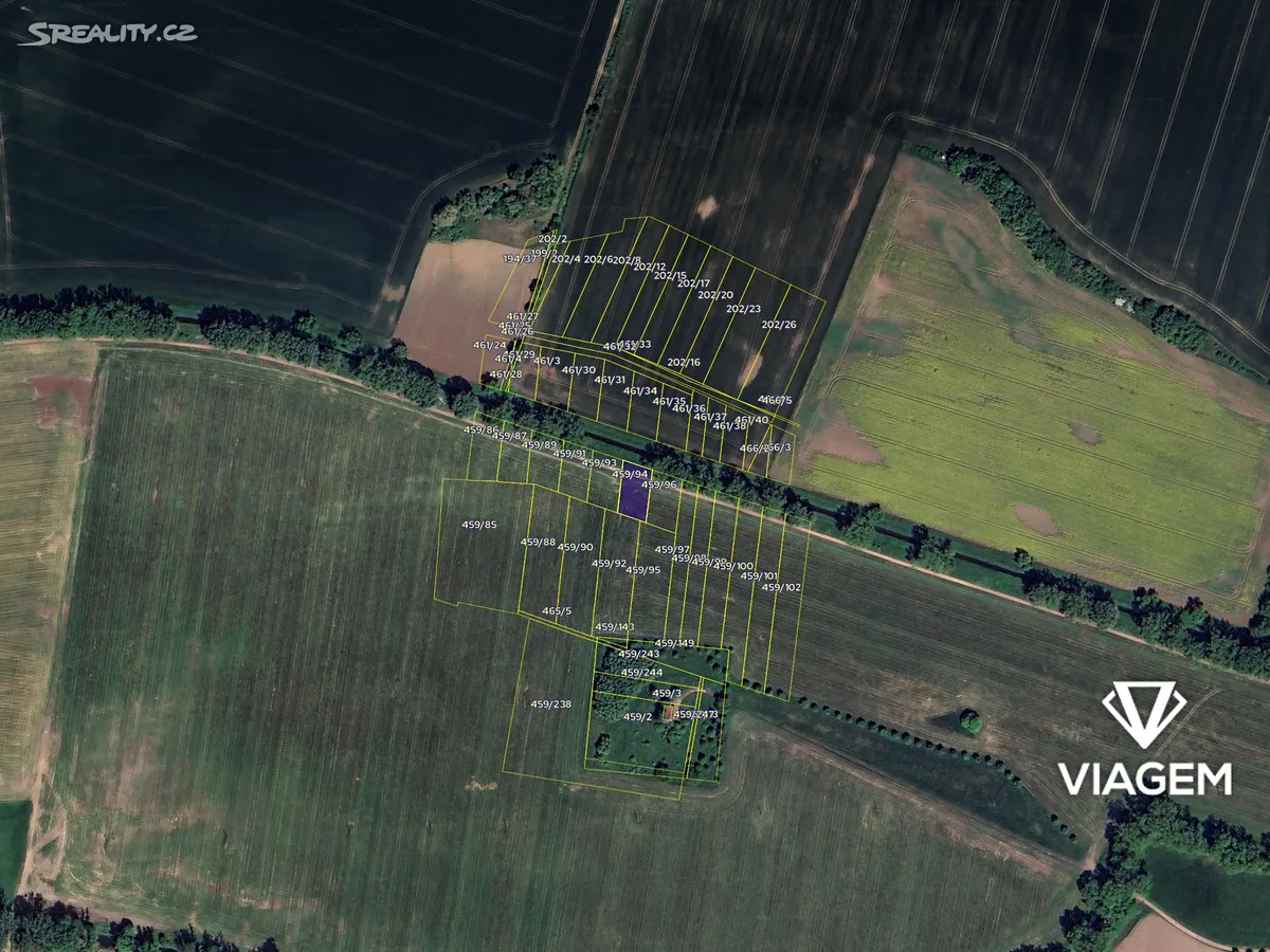 Prodej podílu 1/3 pole 298 m² – pohled 4