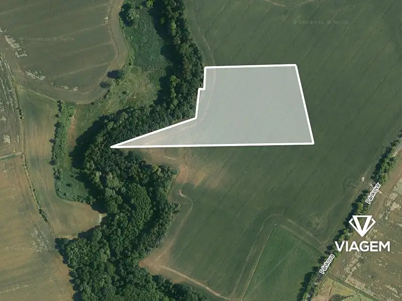 Prodej pole 18594 m², Královice – náhled fotky 2