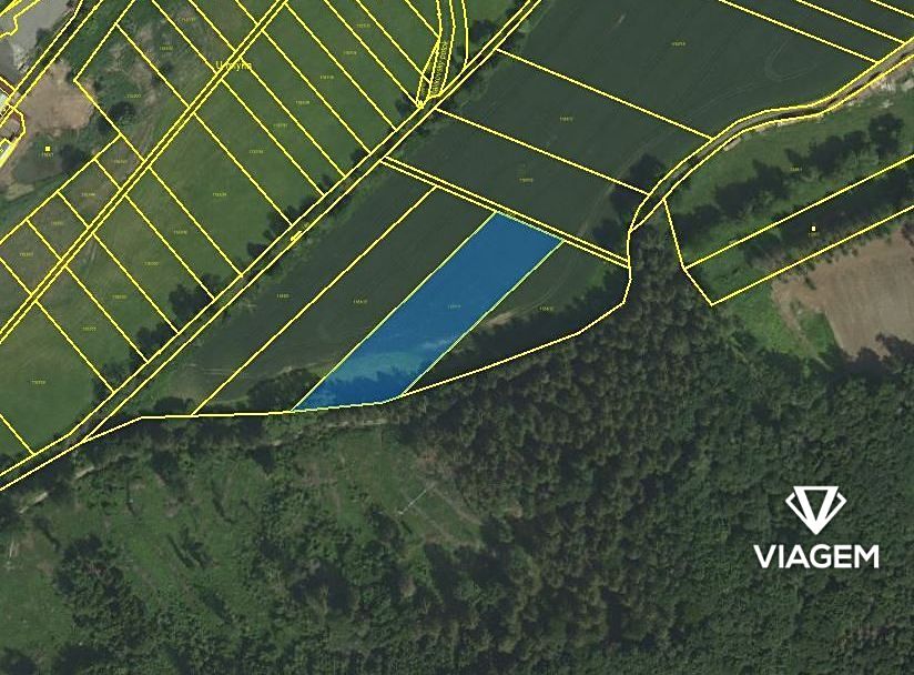 Prodej pole 4400 m² – fotografie 3