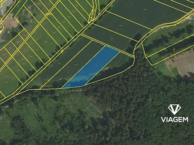 Prodej pole 4400 m², Rozstání – náhled fotky 3