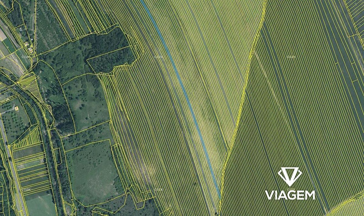 Prodej pole 4850 m², Velká nad Veličkou – fotka 1 z 3