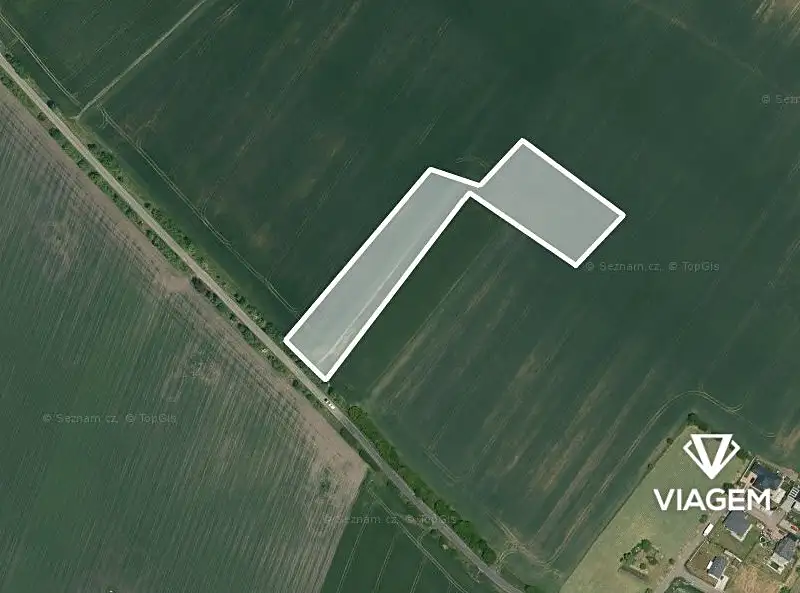 Prodej pole 13635 m², Sudovo Hlavno – náhled fotky 2
