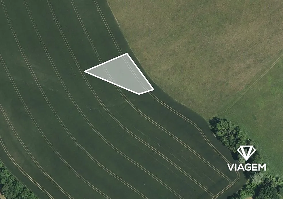 Prodej pole 1077 m²