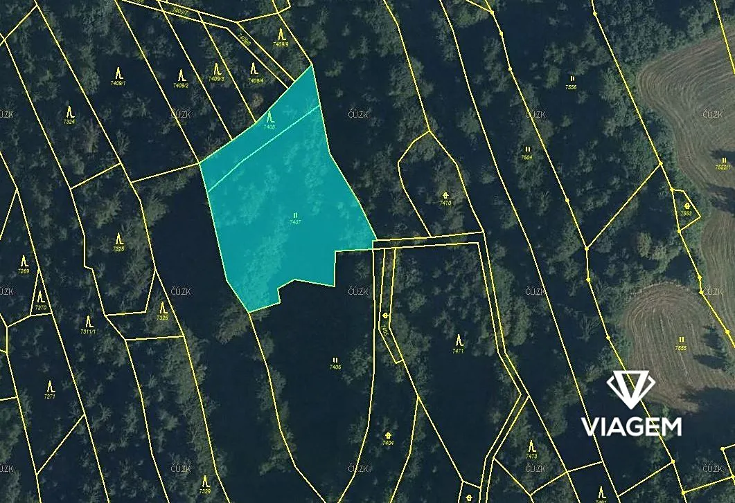 Prodej podílu 1/4 lesa 879 m²