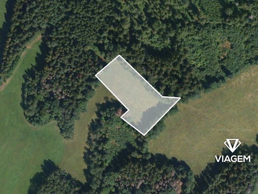 Prodej pole 4993 m² – fotografie 2