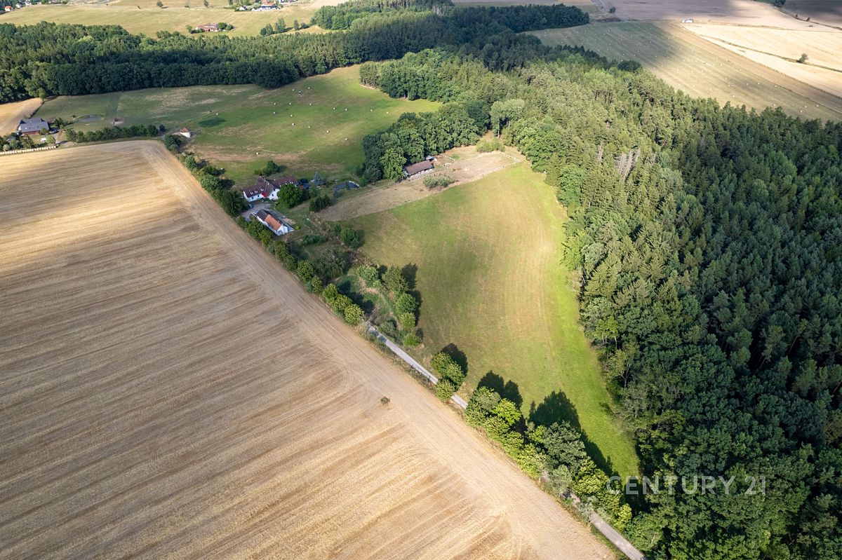 Prodej zemědělského objektu 600 m² – fotografie 5