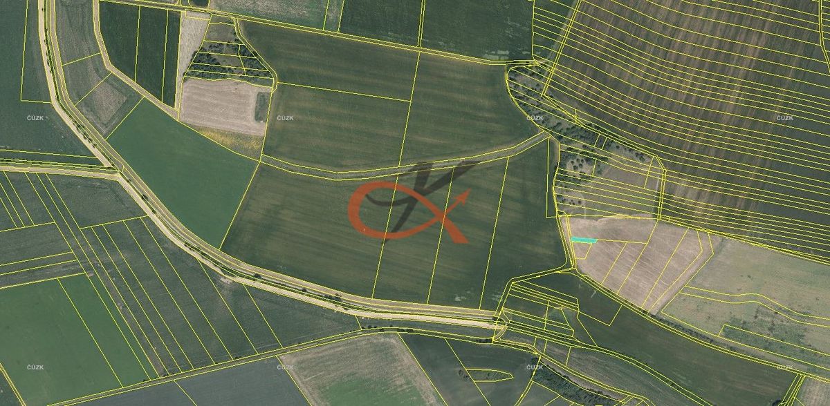 Prodej louky 339 m² – fotografie 3