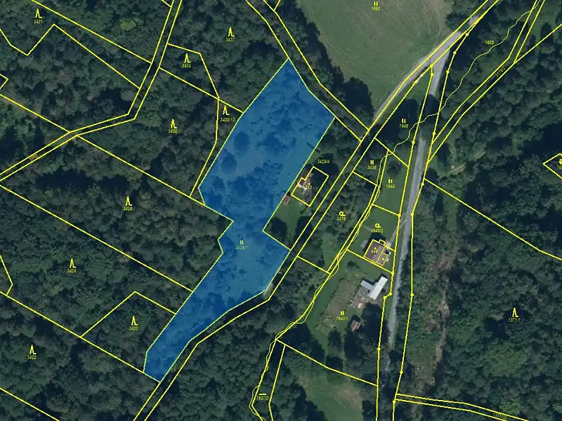 Prodej louky 4533 m², Černá Voda – náhled fotky 1
