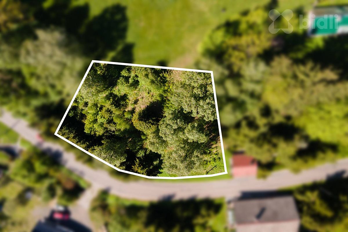 Prodej louky 3038 m² – fotografie 3