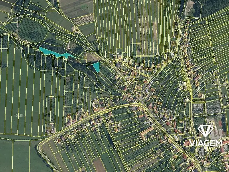 Prodej lesa 2756 m², Velký Ořechov – náhled fotky 2
