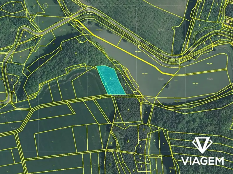 Prodej lesa 4164 m², Hvozdná – náhled fotky 2