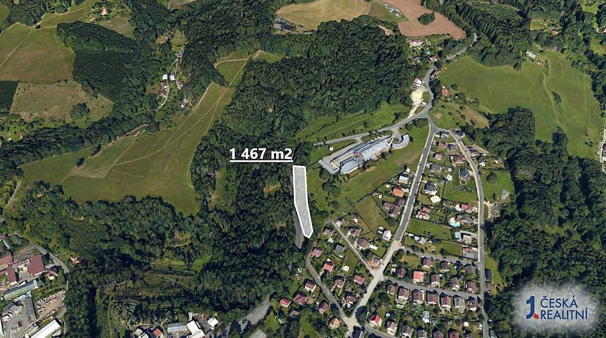 Prodej lesa 1467 m² – fotografie 2